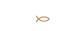 Logo Rodapé - Ribeiro D`Arce